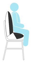Back Support